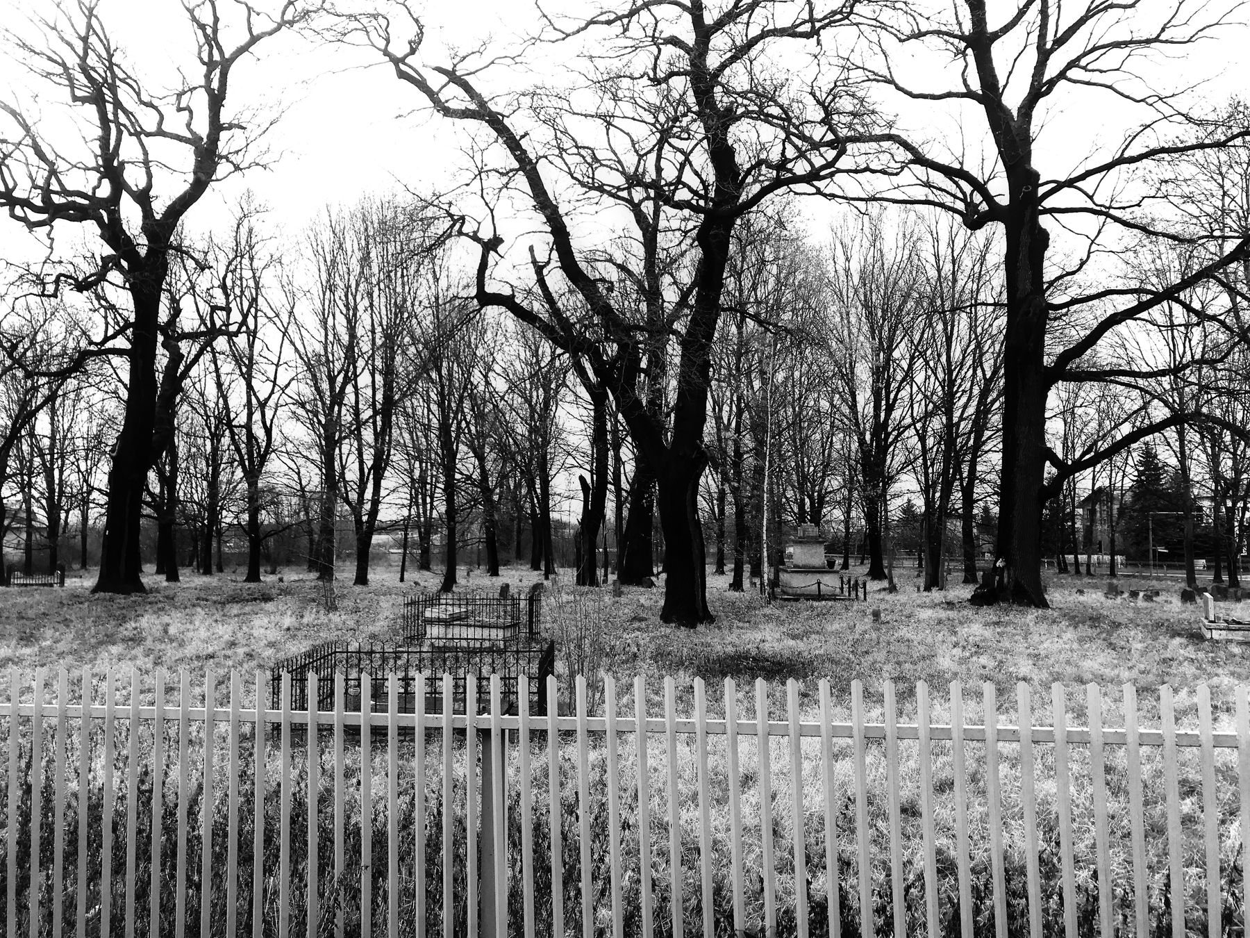 Dąbrowa Tarnowska — photo 5 of 5